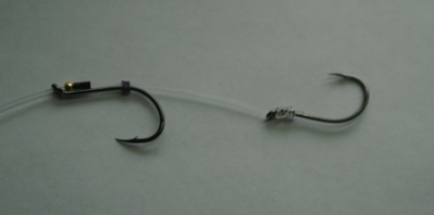Phillips Rig